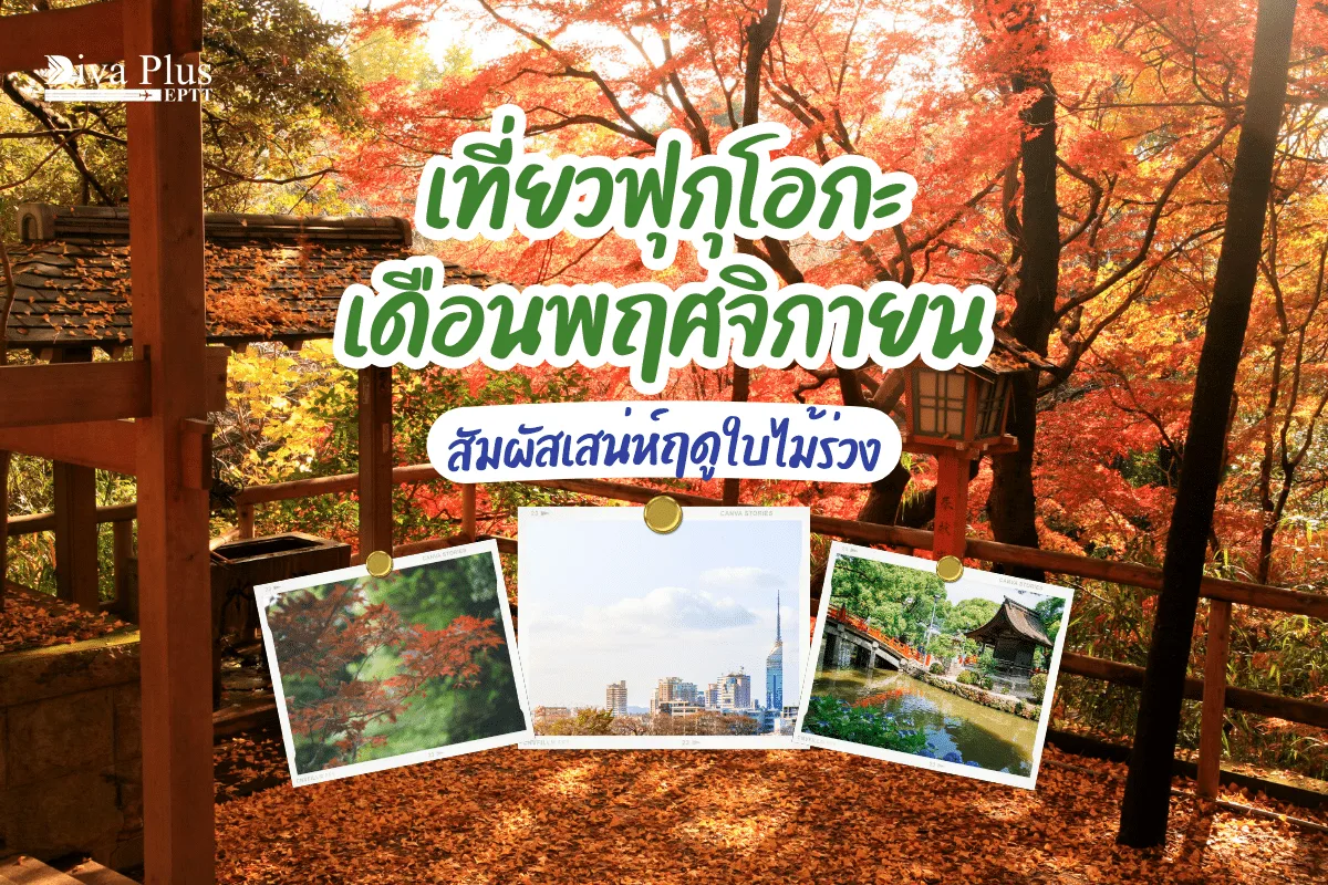เที่ยวฟุกุโอกะ เดือนพฤศจิกายน สัมผัสเสน่ห์ฤดูใบไม้ร่วง