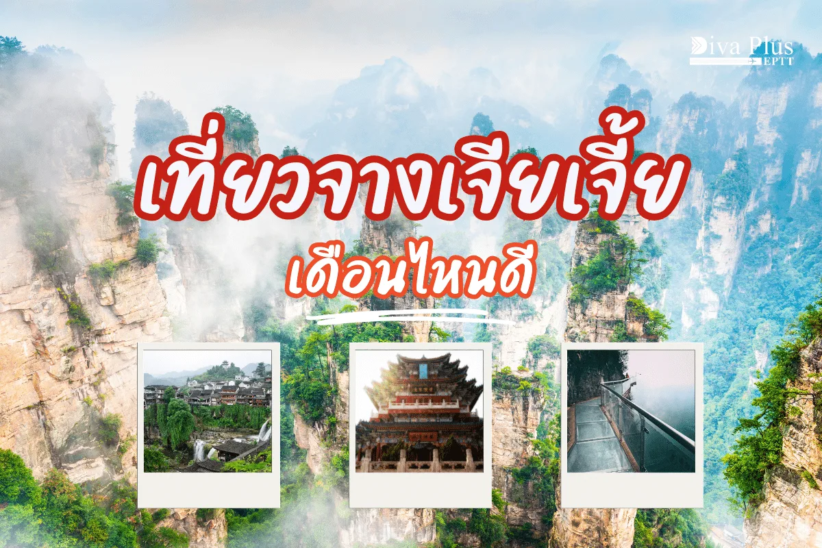 เที่ยวจางเจียเจี้ย เดือนไหนดี สัมผัสธรรมชาติช่วง high season
