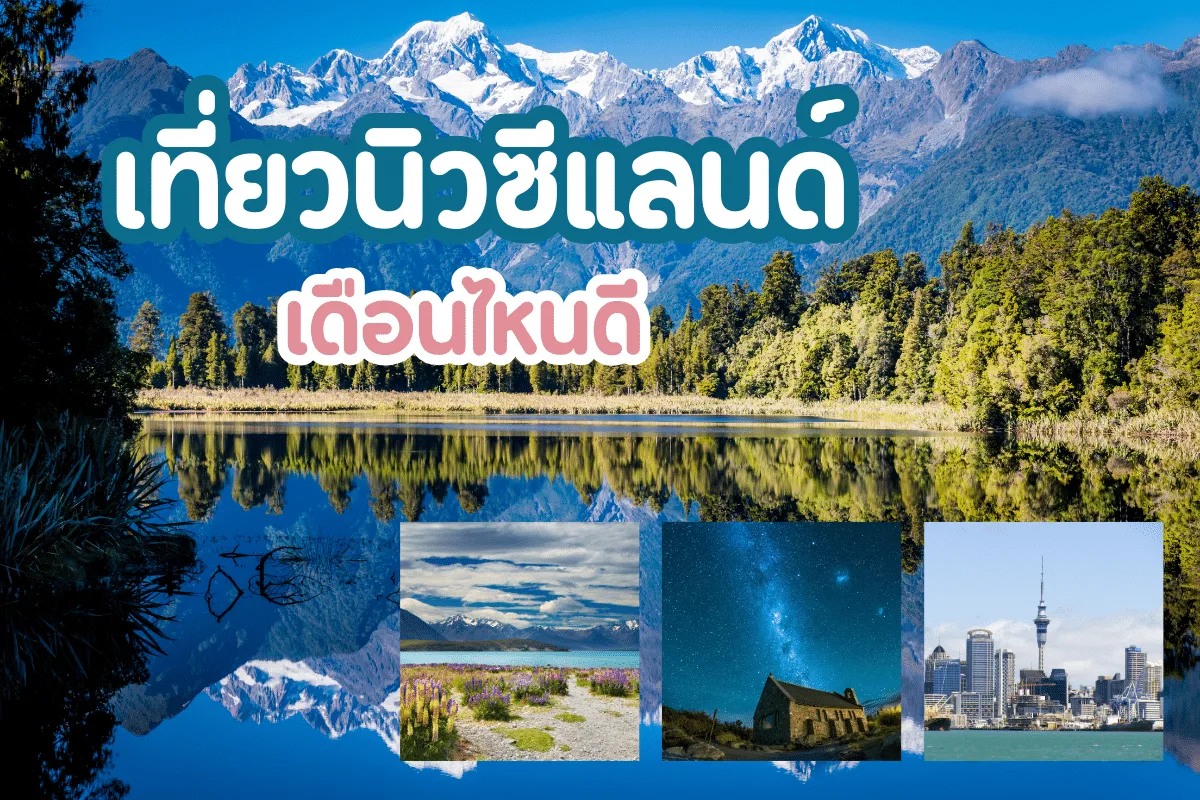 เที่ยวนิวซีแลนด์ เดือนไหนดี ฉลองคริสต์มาส ปีใหม่ช่วงหน้าร้อน