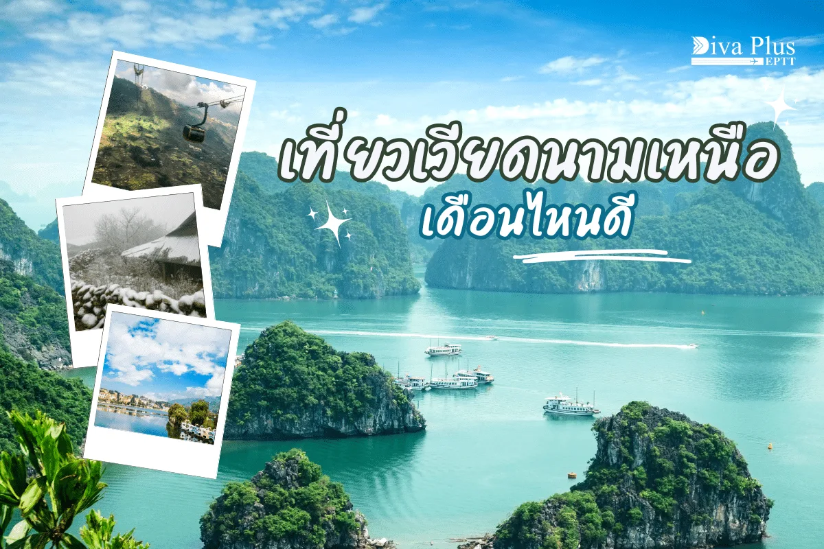 เที่ยวเวียดนามเหนือ เดือนไหนดี ทุ่งนาขั้นบันไดสีทองฤดูนี้
