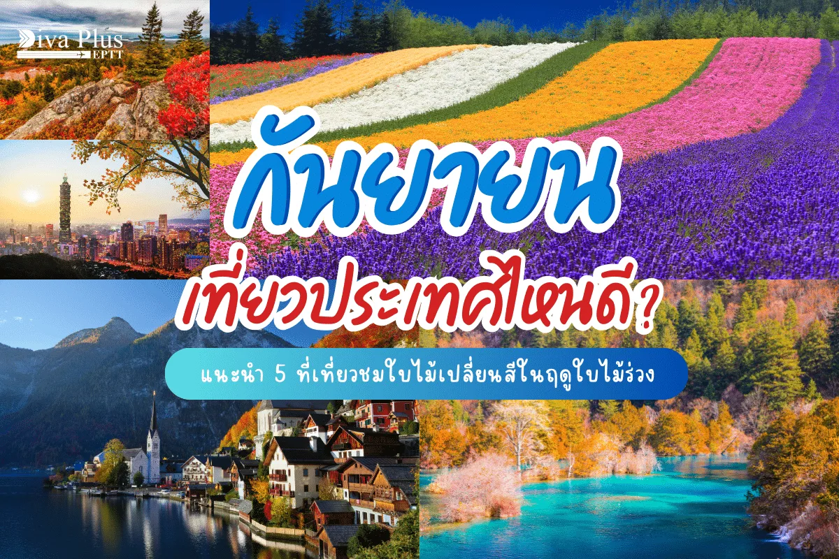 กันยายน เที่ยวประเทศไหนดี? แนะนำ 5 ที่เที่ยวชมใบไม้เปลี่ยนสีในฤดูใบไม้ร่วง