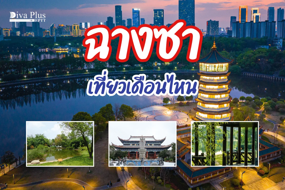 ฉางซา เที่ยวเดือนไหน ชมดอกไม้บานและใบไม้เปลี่ยนสีแสนสวย
