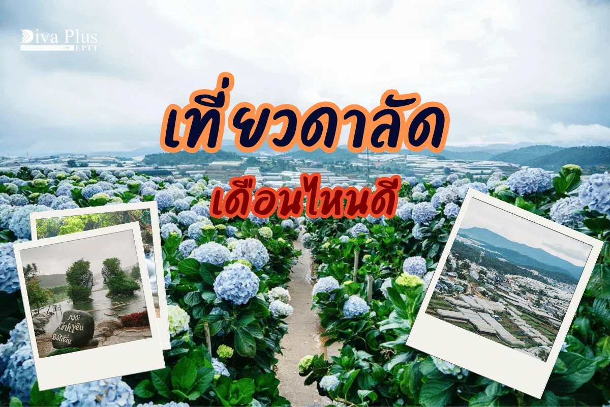 เที่ยวดาลัด เดือนไหนดี  ตะลุยแลนด์มาร์กสุดฮิต
