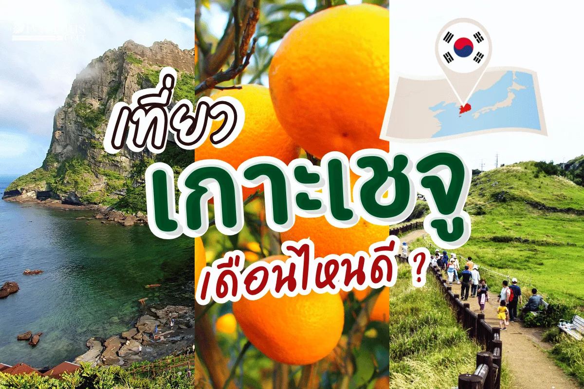 เกาะเชจูเที่ยวเดือนไหนดี ท่องดินแดนสววรรค์ของคนรักธรรมชาติ