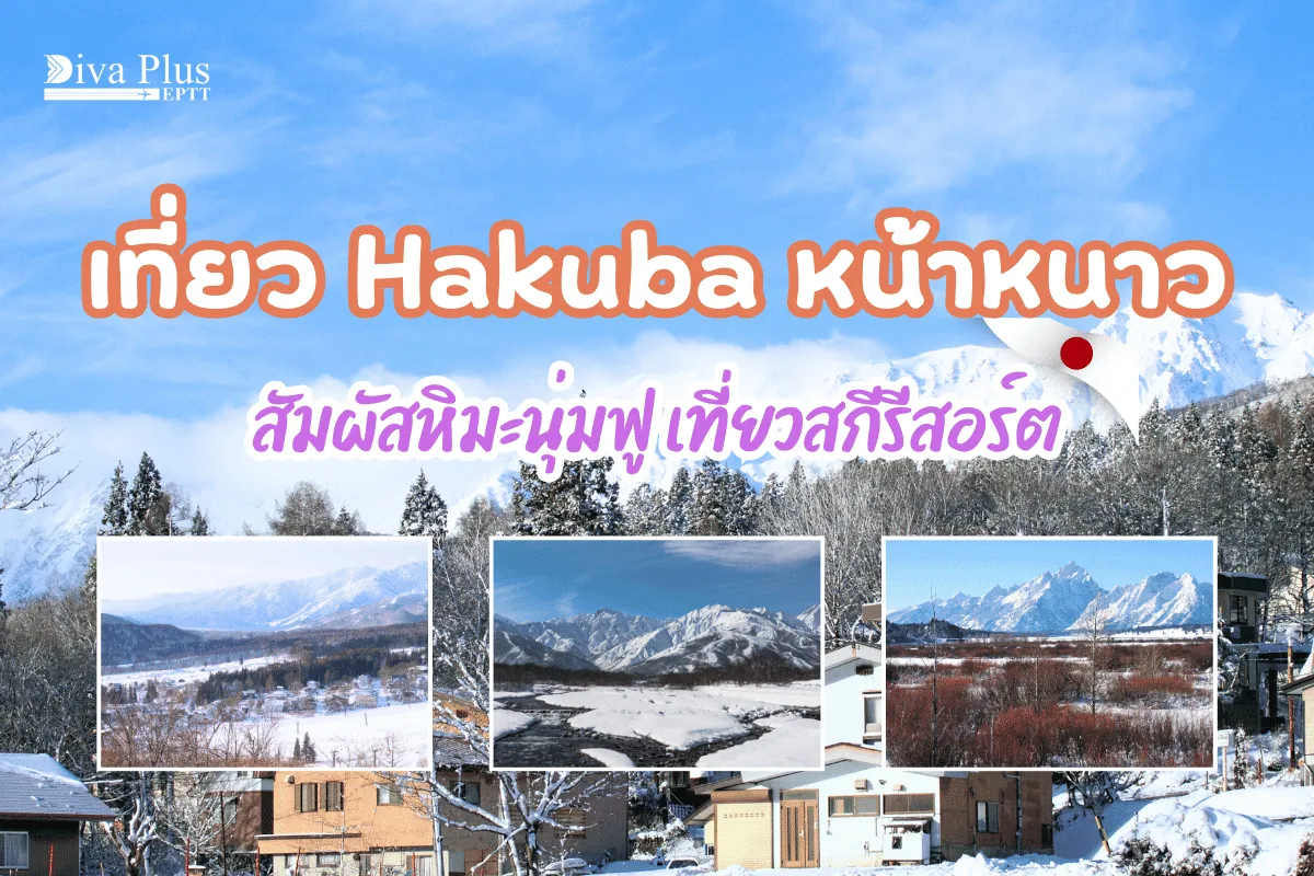 เที่ยว hakuba หน้าหนาว สัมผัสหิมะนุ่มฟู พักสกีรีสอร์ต