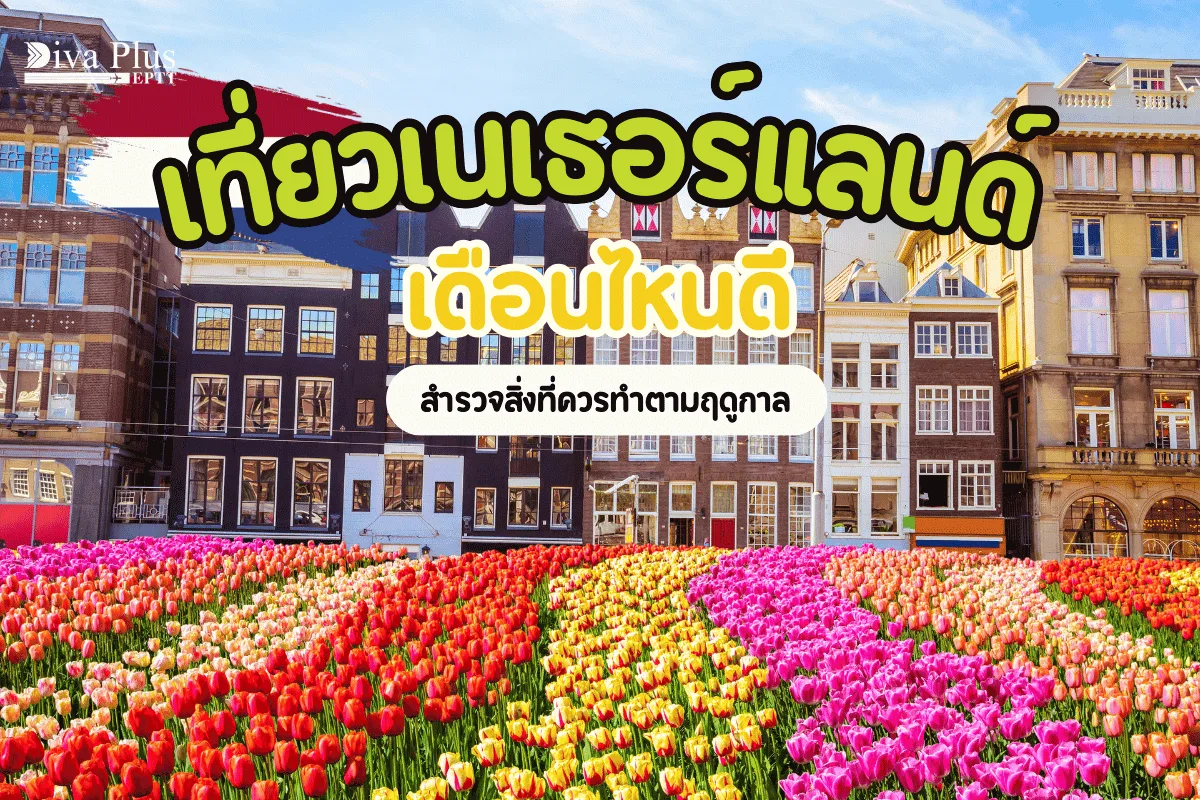 เที่ยวเนเธอร์แลนด์เดือนไหนดี สำรวจสิ่งที่ควรทำตามฤดูกาล