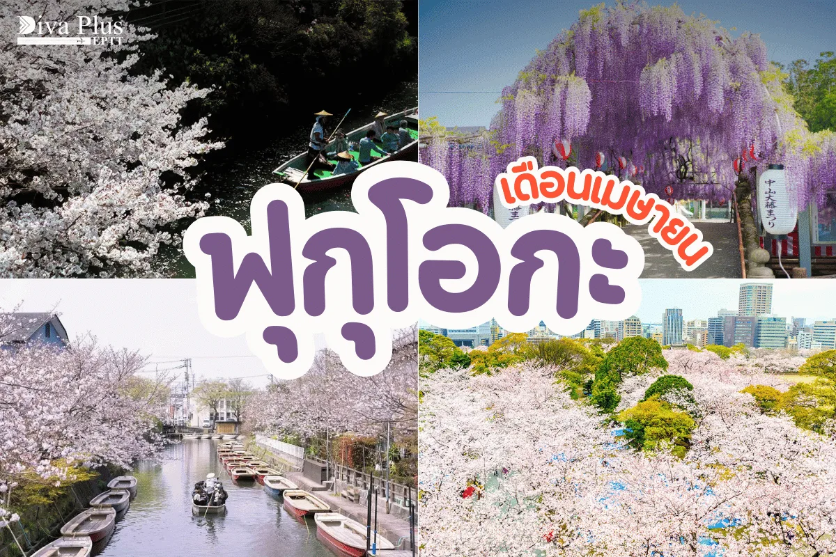 เที่ยวฟุกุโอกะ เดือนเมษายน ชมเทศกาลดอกซากุระ ล่องเรือในคลองดั้งเดิมกว่า 400 ปี