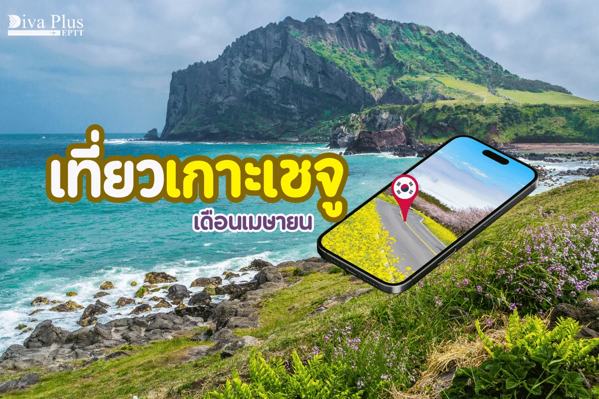 เที่ยวเกาะเชจู เดือนเมษายน ชมซากุระบานสุดฟินฮีลใจขั้นเทพ