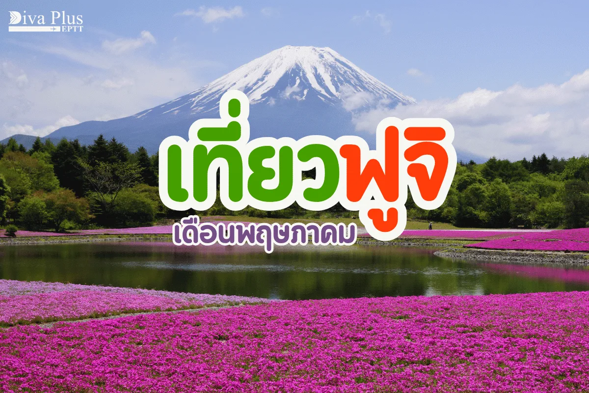 ร้องว้าวเลย! ฟูจิ เดือนพฤษภาคม เทศกาลฉ่ำ กิจกรรมเยอะ เห็นวิวภูเขาไฟชัด