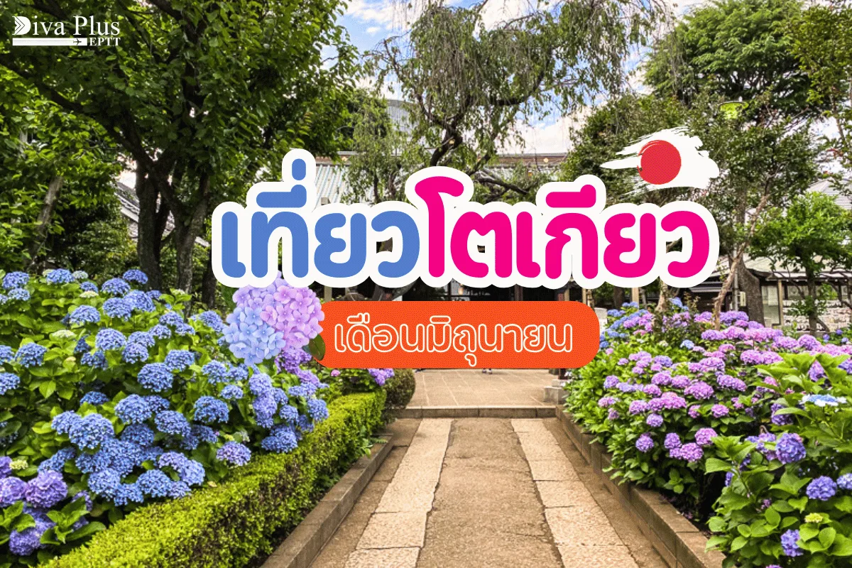 เที่ยวโตเกียว เดือนมิถุนายน ฉบับคนไม่กลัวฝน เข้าร่วมกิจกรรมที่ไม่ซ้ำใคร
