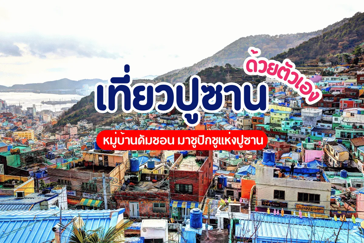 เที่ยวปูซานด้วยตัวเอง หมู่บ้านคัมชอน มาชูปิกชูแห่งปูซาน
