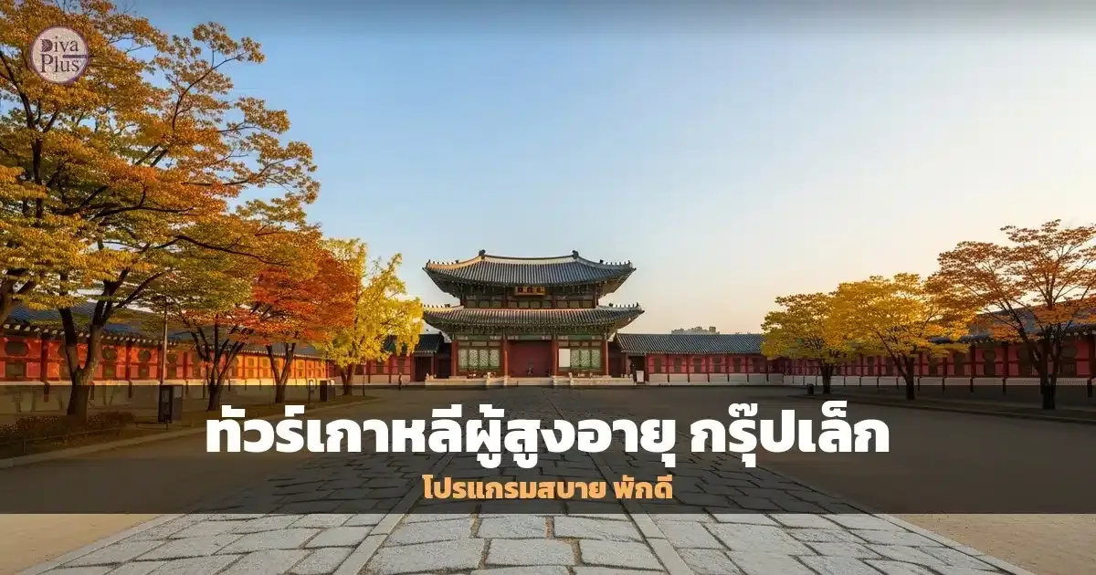 ทัวร์เกาหลีผู้สูงอายุ กรุ๊ปเล็ก: โปรแกรมสบาย เดินน้อย พักโรงแรมดี