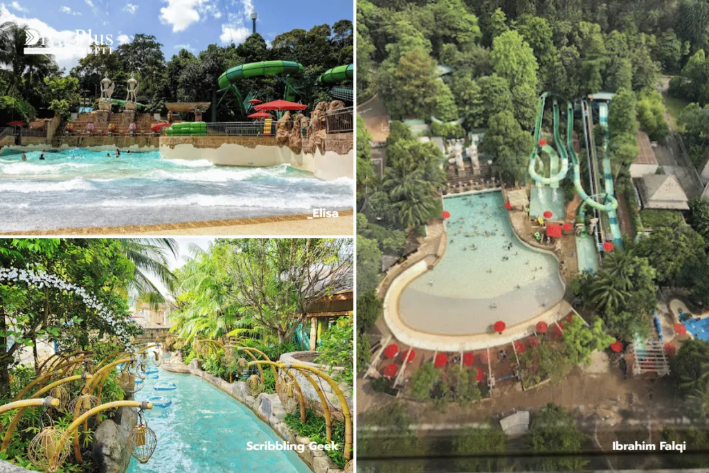 Adventure Cove Water Park
