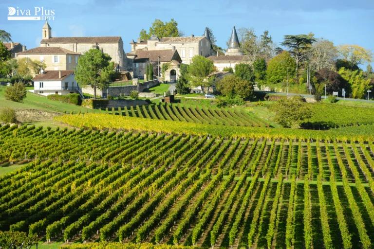 บอร์โดซ์ (Bordeaux) เมืองแห่งไวน์ที่มีไร่องุ่นและโรงบ่มไวน์มากมาย