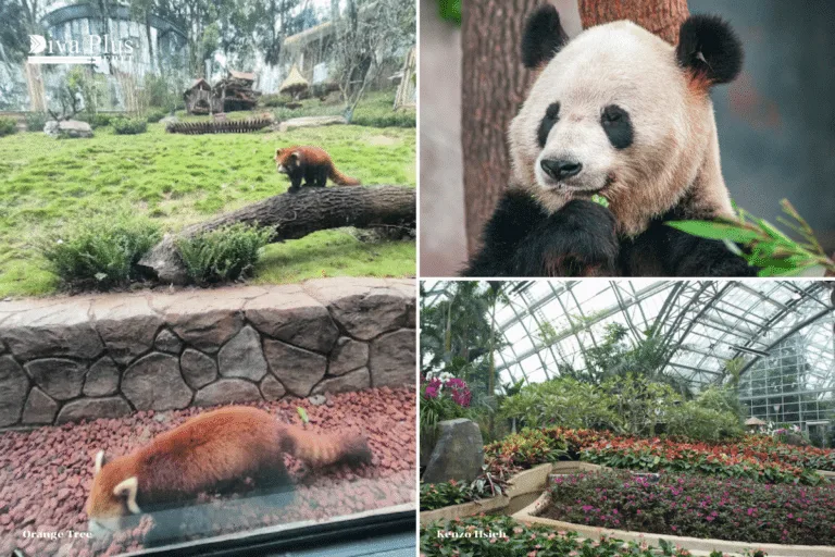 Chongqing Zoo and Botanical Garden