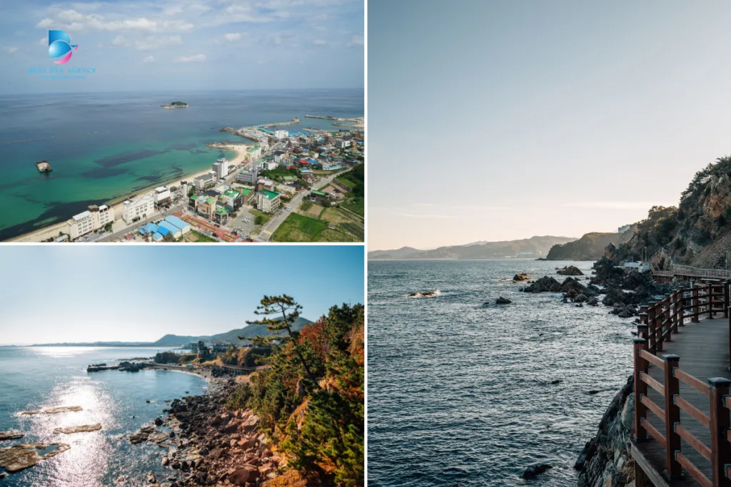 เที่ยวทะเลชายฝั่งตะวันออก gangneung, pohang, jeongdongjin