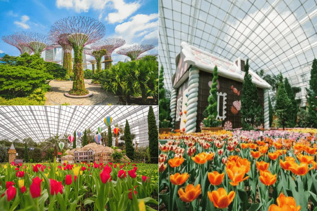 Gardens by the Bay