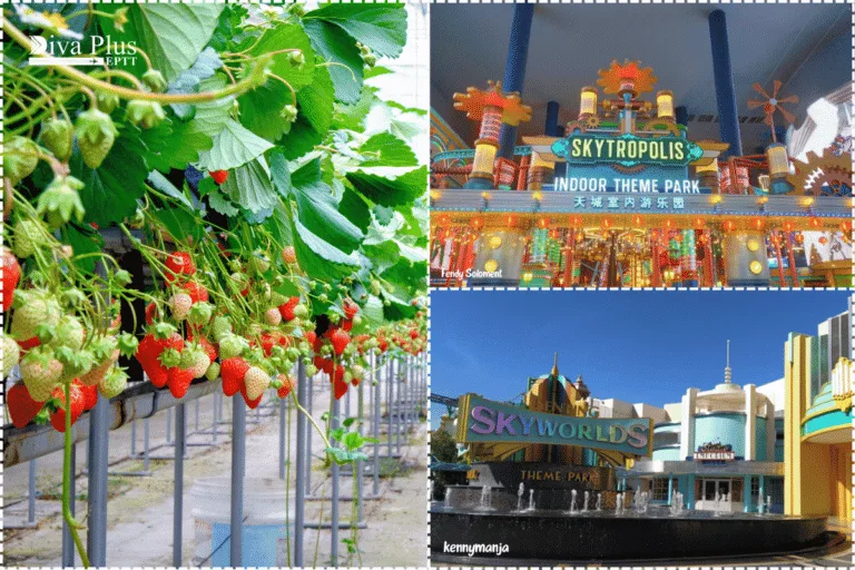 เที่ยวเก็นติ้งฤดูร้อน, Strawberry Leisure Farm, Genting SkyWorlds Theme Park, Skytropolis Funland