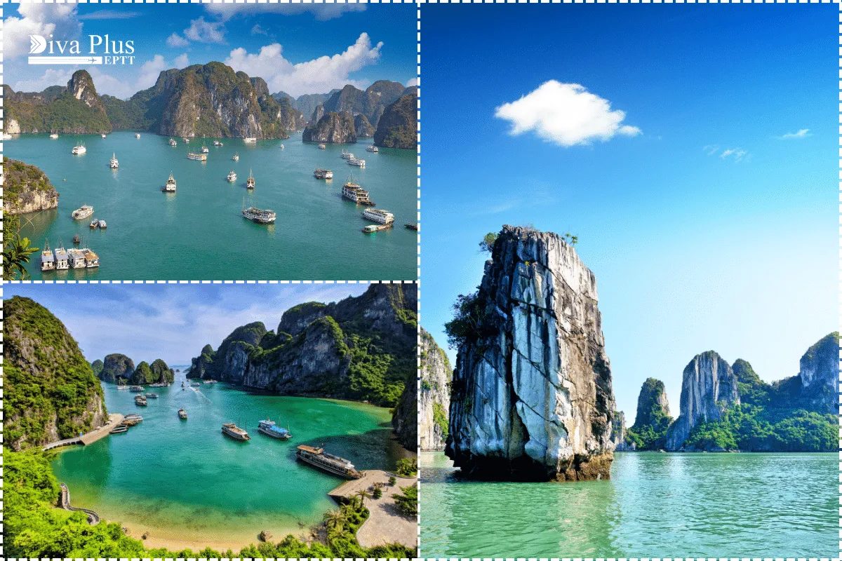 ทัวร์เวียดนาม