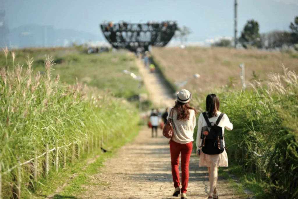 สวนดอกหญ้า Haneul Park (Sky Park)