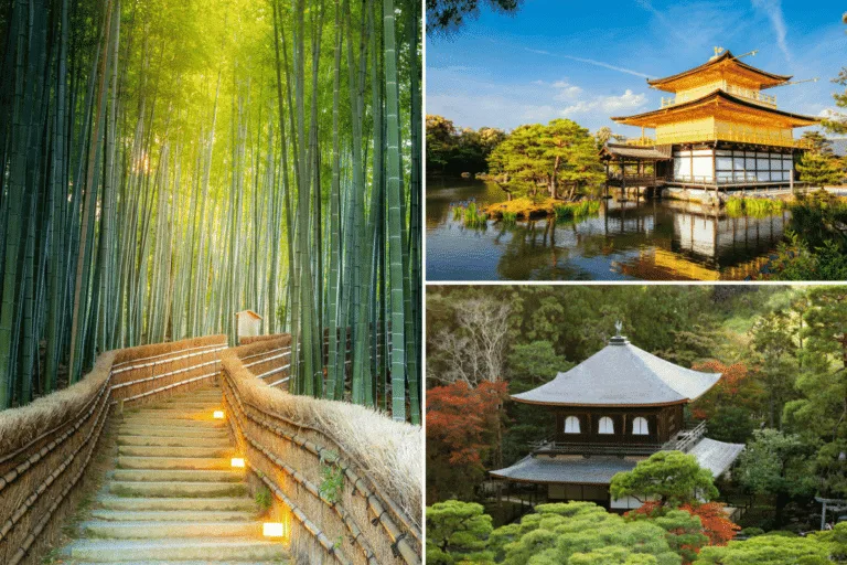 เกียวโต (Kyoto)