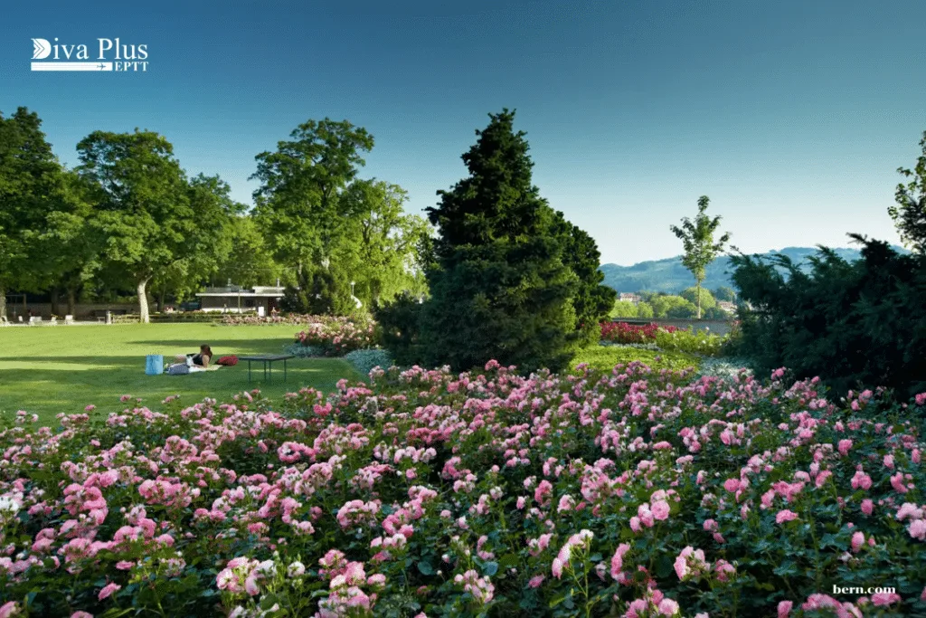 เที่ยวชมดอกไม้ที่กรุงเบิร์น (Bern)