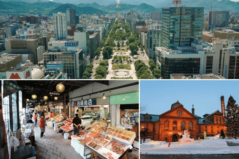 ซัปโปโร (Sapporo)