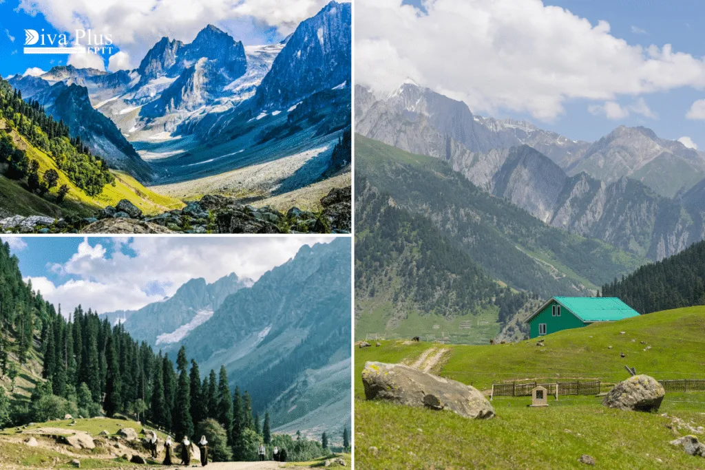 โซนามาร์ค (Sonamarg)