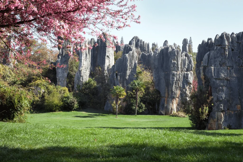 อุทยานป่าหิน (Stone Forest)