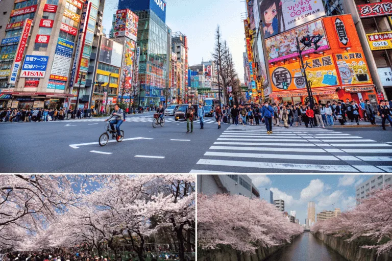 โตเกียว (Tokyo)