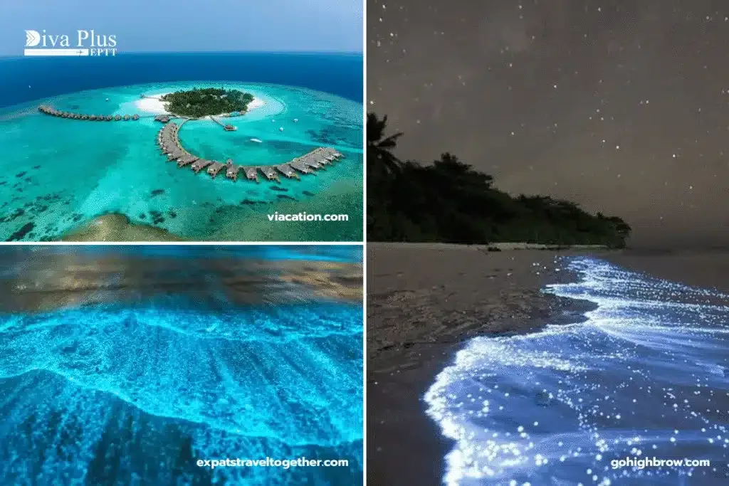 เกาะ Vaadhoo