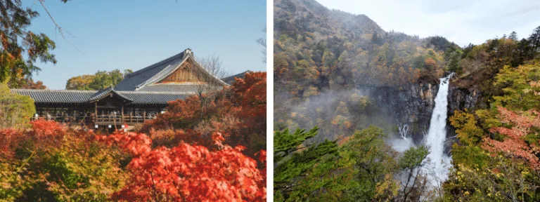 วัดคินคะคุจิ (Kinkaku-ji) , น้ำตกเคงอน (Kegon Falls)