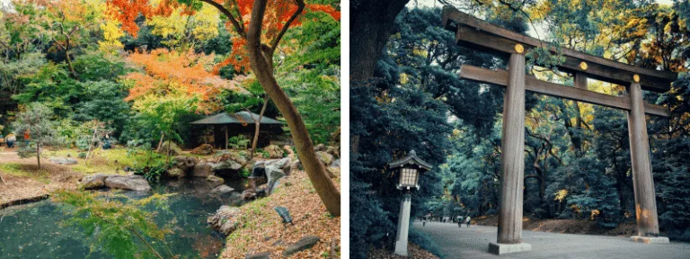 สวนริคุงิเอน (Rikugien Garden), ศาลเจ้าเมจิ (Meiji Shrine)