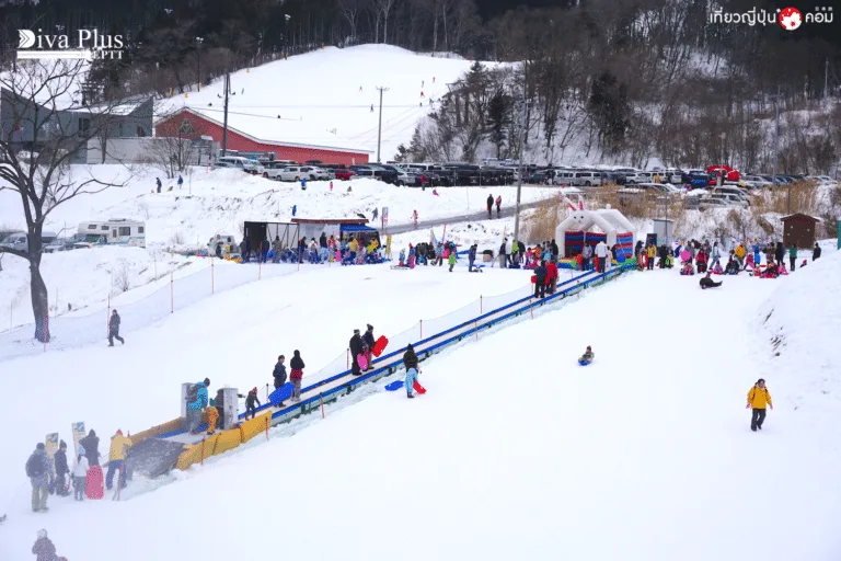 ลานสกีมินาคามิ (Minakami Ski Resort)
