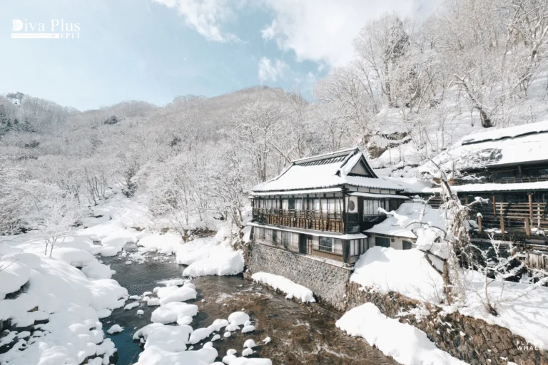 เทศกาลหิมะมินาคามิ (Minakami Snow Festival)