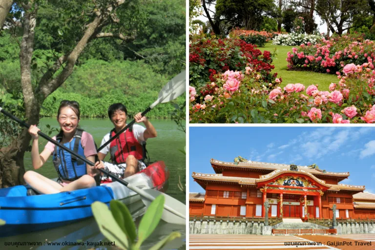 เที่ยวโอกินาว่าฤดูใบไม้ร่วงช่วง เดือนกันยายน – พฤศจิกายน
