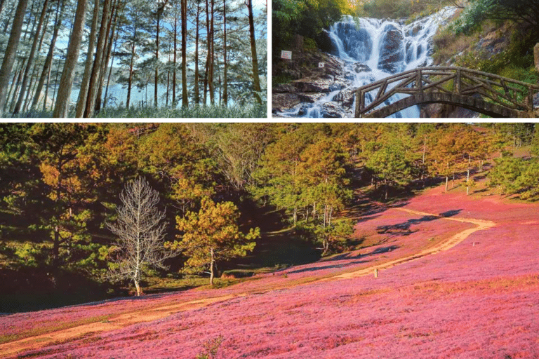 เที่ยวดาลัด ฤดูใบไม้ร่วง