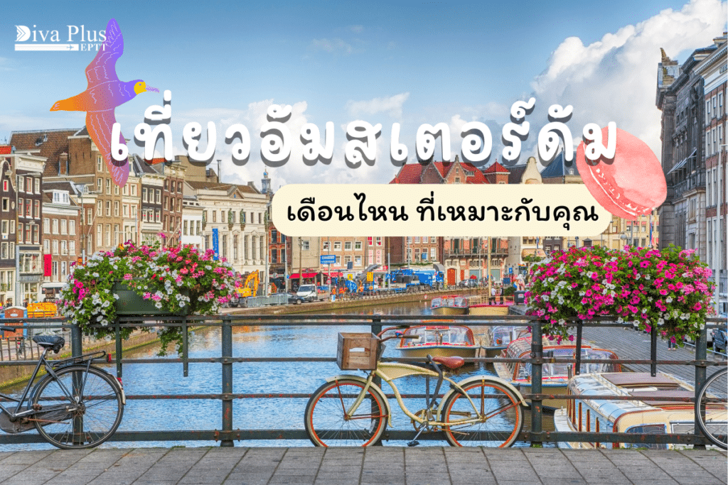 ปกอัมสเตอร์ดัม เดือนไหนดี