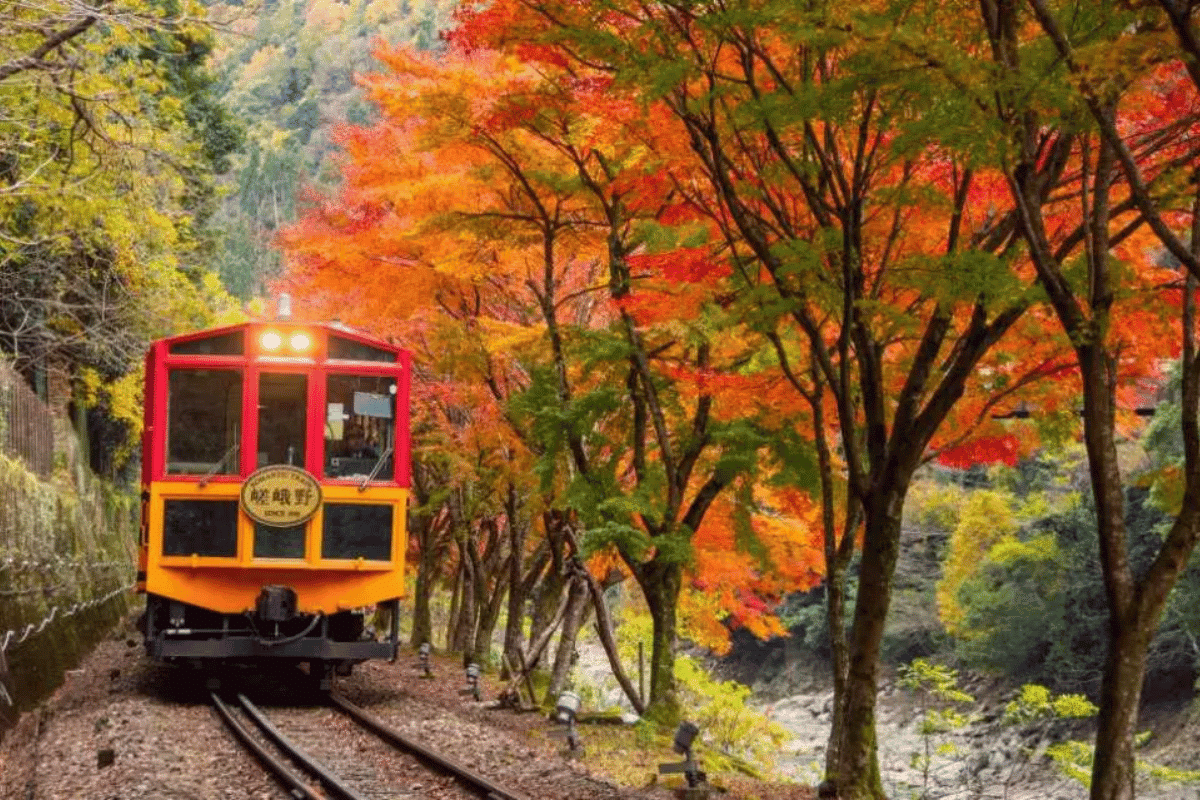 รถไฟโรแมนติกซากะโน่