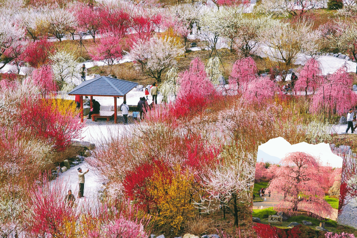 สวนเกษตรเมืองอินาเบะ