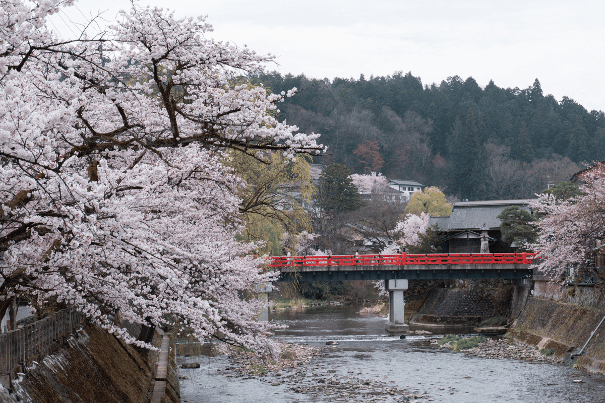 สะพานนากาบาชิ (NAKABASHI)