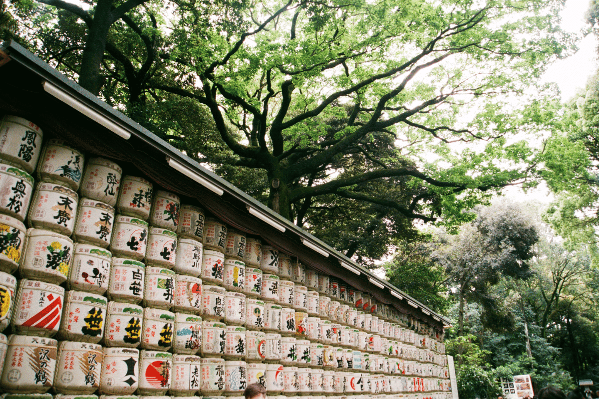 ศาลเจ้าเมจิ (MEIJI SHRINE)