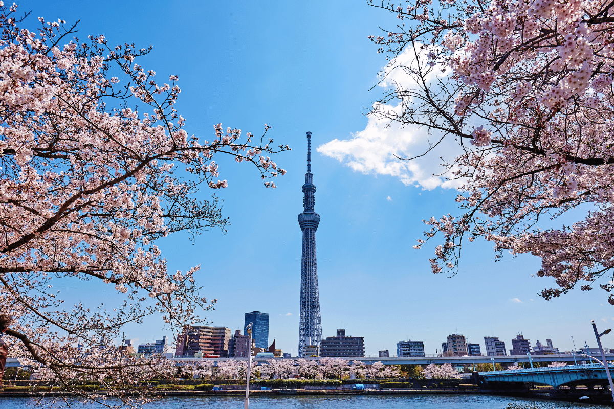 หอคอยโตเกียวสกายทรี Tokyo Sky tree