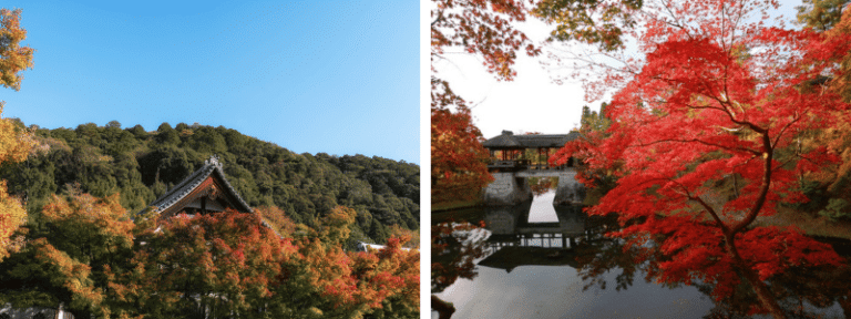 วัดเอย์คันโด (Eikando Zenrin-ji), สวนชูเกะอิง (Shugakuin Imperial Villa Garden)