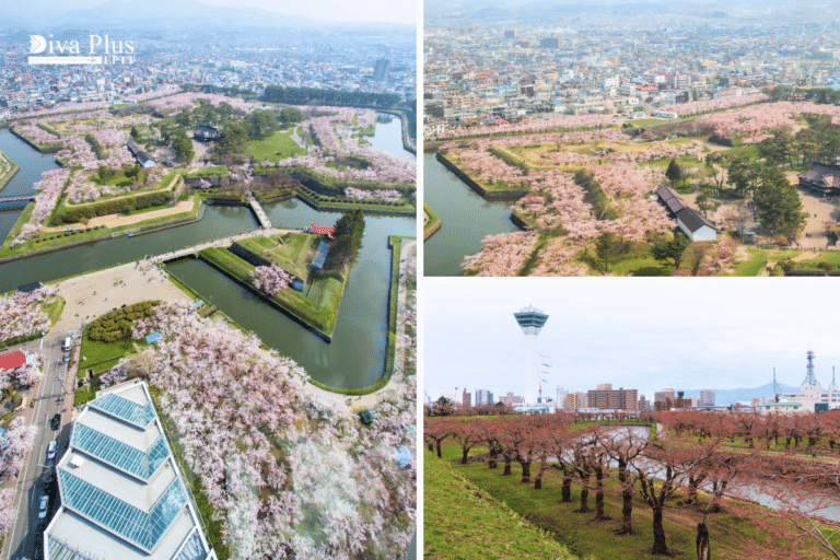 สวนโกเรียวคาคุ (Goryokaku Park )