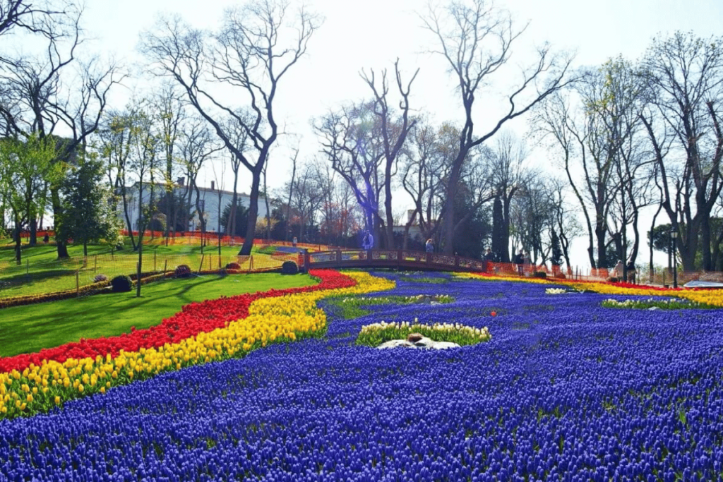 เทศกาลดอกทิวลิป ที่อิสตัสบูล(Istanbul Tulip Festival)