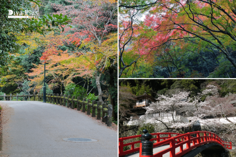 Minoh Park