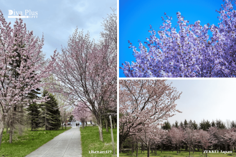 สวนโมเอะเรนุมะ (Moerenuma Park)