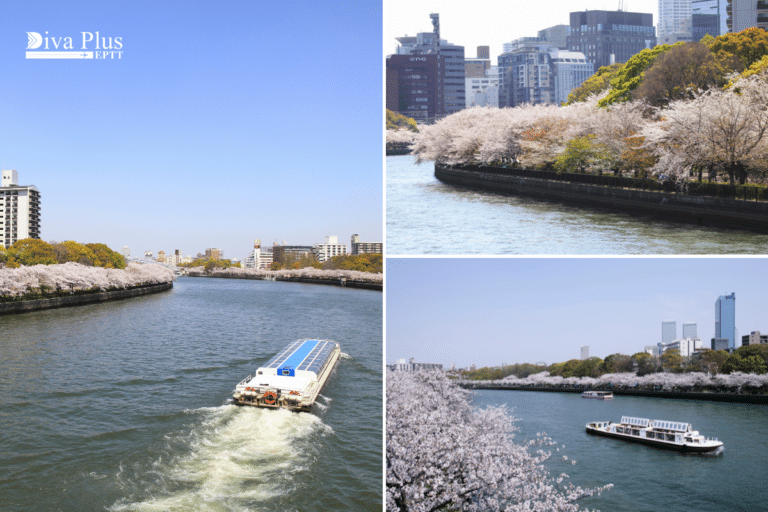 Okawa River