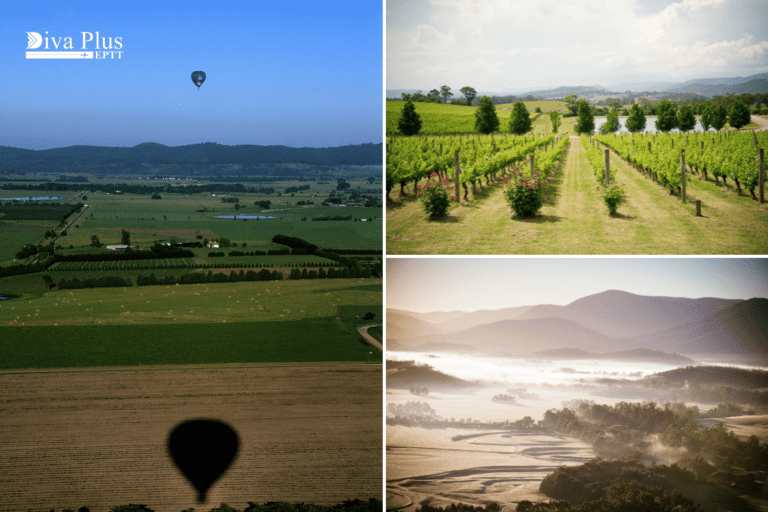 Yarra Valley